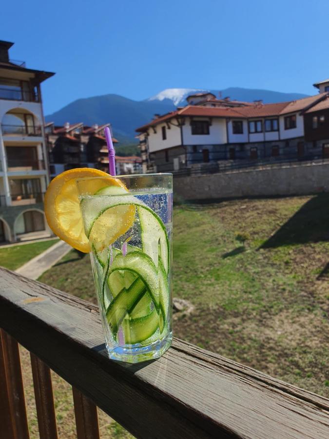 Koko'S Apartments 2 Bansko Ngoại thất bức ảnh